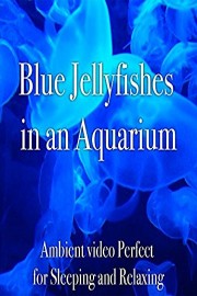 Blue Jellyfishes in an Aquarium Ambient Video Perfect for Sleeping and Relaxing