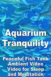 Aquarium Tranquility Peaceful Fish Tank Ambient Video for Sleep and Meditation