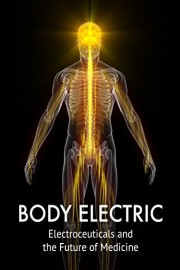 Body Electric: Electroceuticals and the Future of Medicine
