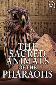 The Sacred Animals of the Pharaohs