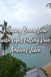 Relaxing Beach View with Light Falling Rain Ambient Video