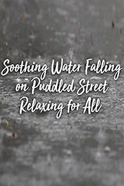 Soothing Water Falling on Puddled Street Relaxing for All