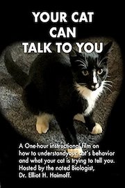 Your cat can talk