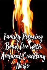 Family Relaxing Bond Fire with Ambient Crackling Noise
