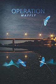 Operation Mayfly
