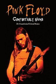 Pink Floyd - Comfortably Numb