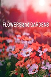 Flowers and Gardens