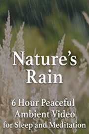 Nature's Rain 6 Hour Peaceful Ambient Video for Sleep and Meditation