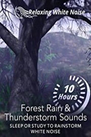 Forest Rain & Thunderstorm Sounds 10 Hours - Sleep or Study to Rainstorm White Noise