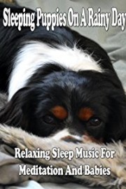 Sleeping Puppies On A Rainy Day Relaxing Sleep Music For Meditation And Babies