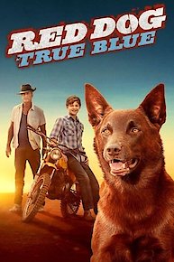 Red Dog: True Blue