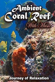 Ambient Coral Reef - Journey of Relaxation