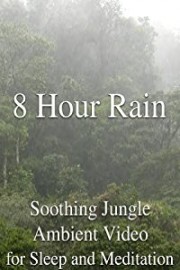 8 Hour Rain Soothing Jungle Ambient Video for Sleep and Meditatio