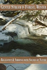 Gentle Stream in Forest, Winter - Relaxation & Ambience with Sounds of Nature