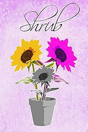 Shrub