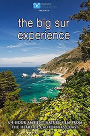 The Big Sur Experience: 4 Hour Ambient Nature Relaxation Film from the Heart of California's Coast