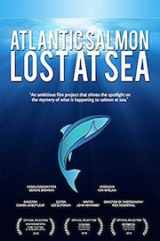 Atlantic Salmon - Lost at Sea