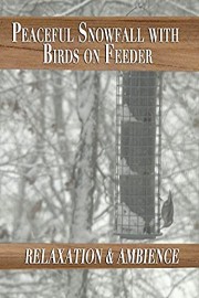 Peaceful Snowfall with Birds on Feeder - Relaxation & Ambience