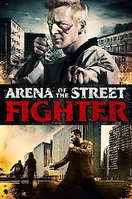 Arena Of The Street Fighter