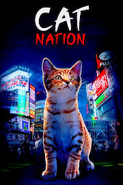 Cat Nation: A film about Japan's crazy cat culture