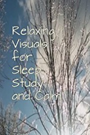 Relaxing Visuals for Sleep, Study, and Calm