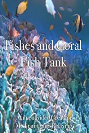 Coral in A Fish Tank Ambient Video Great for Meditating and Relaxing