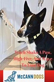 Teach Shake A Paw, High-Five, And Wave To Your Dog