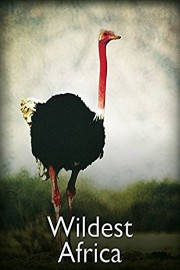 Wildest Africa