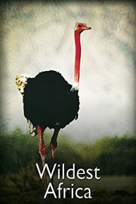 Wildest Africa