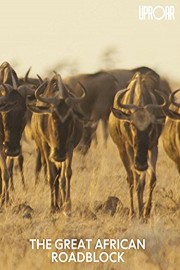 The Great African Roadblock