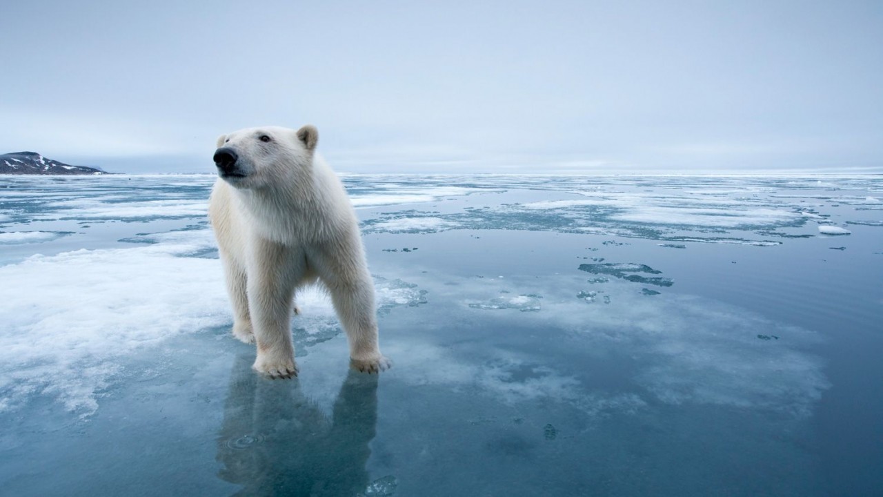 On Thin Ice