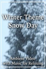 Winter Theme Snow Day Ambient Video with Music for Relaxing