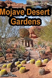 Mojave Desert Gardens