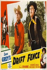Drift Fence