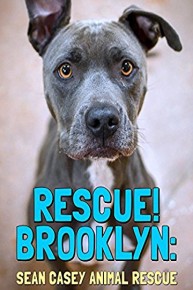 Rescue! Brooklyn