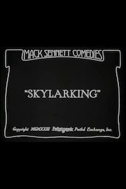 Skylarking