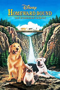 Homeward Bound: The Incredible Journey