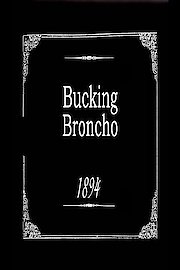 Bucking Broncho