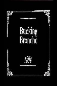 Bucking Broncho
