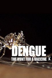 Dengue: The Hunt for a Vaccine