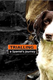 Trialling: A Spaniel's Journey