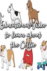 Educational Video to learn about the Collie