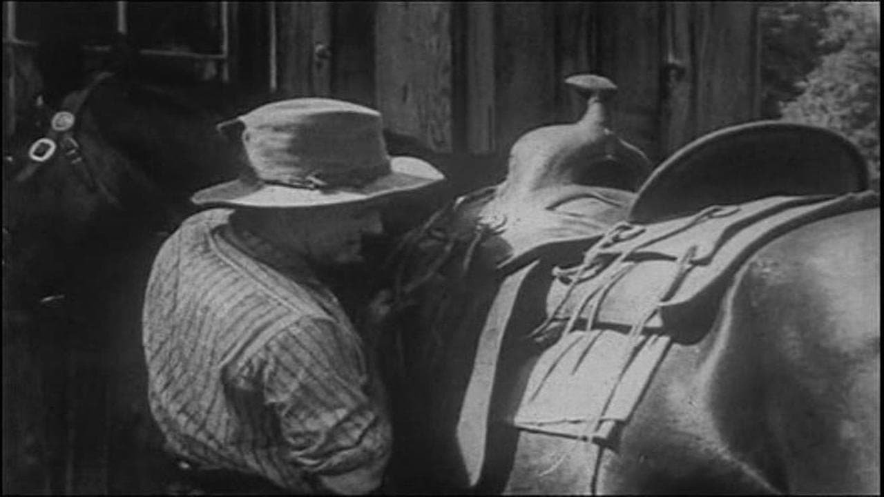 Nugget Jim's Pardner