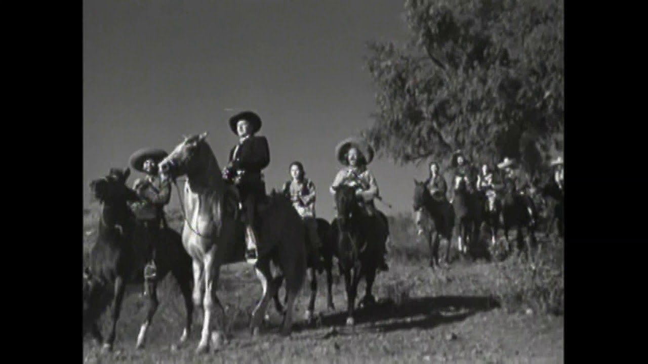 Los Gavilanes