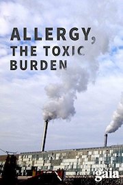 Allergy, the Toxic Burden