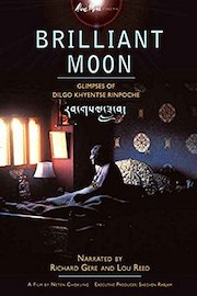 Brilliant Moon