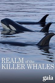 Realm of the Killer Whales