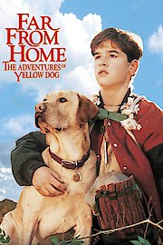 Far from Home: The Adventures of Yellow Dog