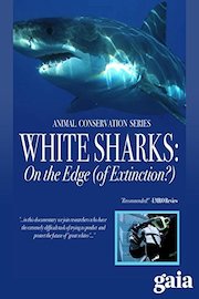 White Sharks: On the Edge