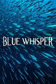 Blue Whisper